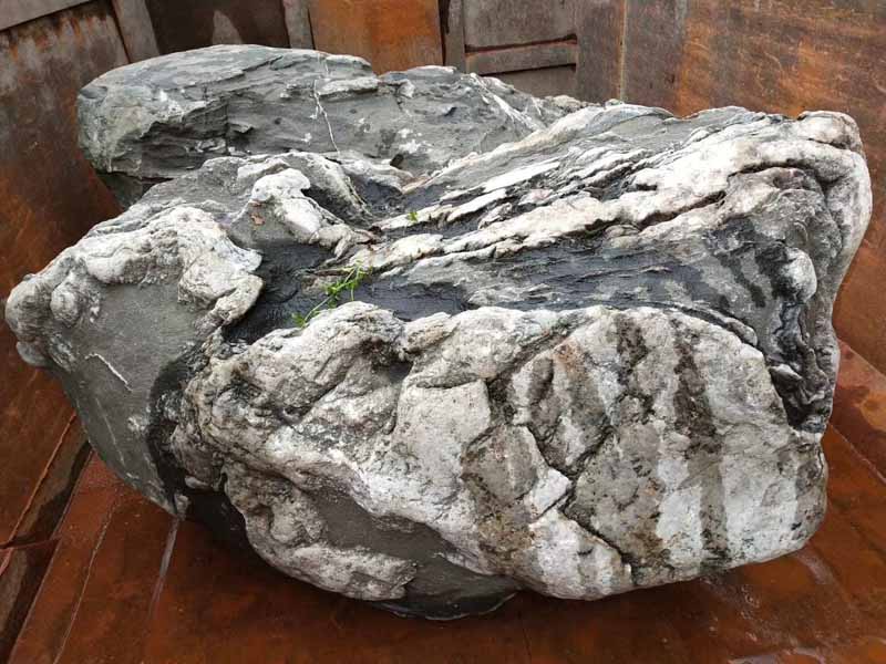 雅安石20_重慶星琳景觀(guān)石材有限公司